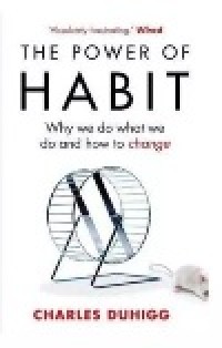Image of THE Power of HABIT Why we do what we do and how to change