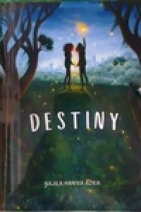 Image of Destiny
