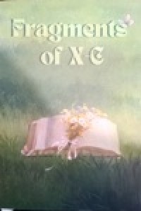Image of Fragments of X-C